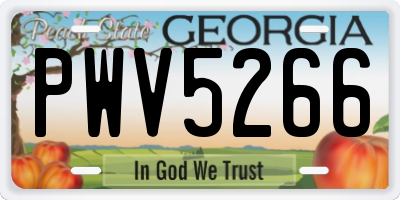 GA license plate PWV5266