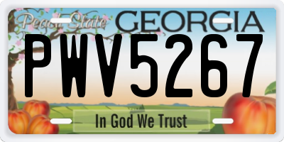 GA license plate PWV5267