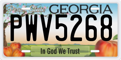 GA license plate PWV5268