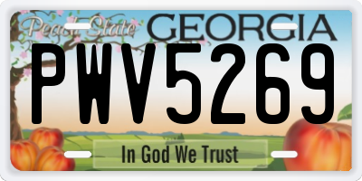 GA license plate PWV5269