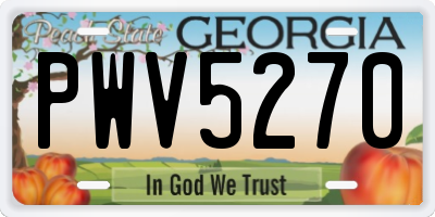 GA license plate PWV5270