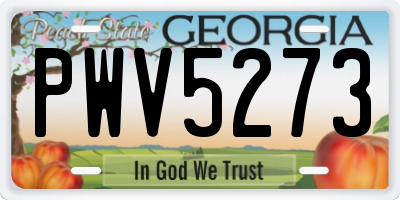 GA license plate PWV5273