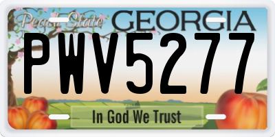 GA license plate PWV5277