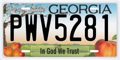 GA license plate PWV5281