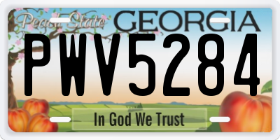 GA license plate PWV5284