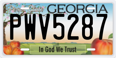 GA license plate PWV5287