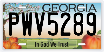 GA license plate PWV5289