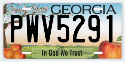 GA license plate PWV5291
