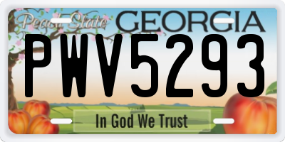GA license plate PWV5293