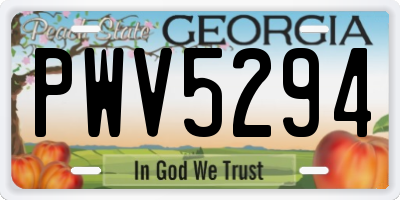GA license plate PWV5294