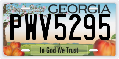 GA license plate PWV5295
