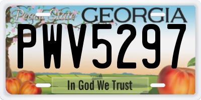 GA license plate PWV5297