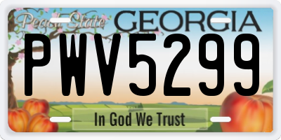 GA license plate PWV5299