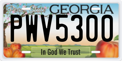 GA license plate PWV5300