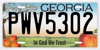 GA license plate PWV5302