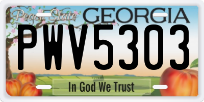 GA license plate PWV5303