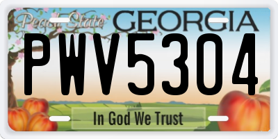 GA license plate PWV5304