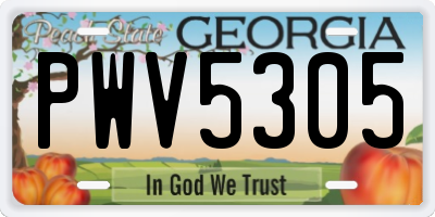 GA license plate PWV5305