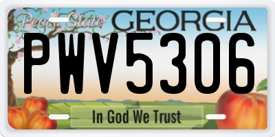 GA license plate PWV5306