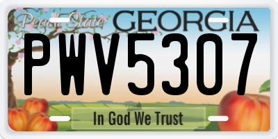 GA license plate PWV5307