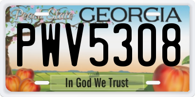 GA license plate PWV5308