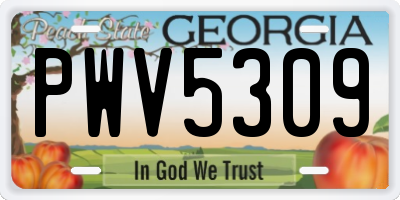 GA license plate PWV5309