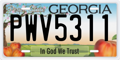 GA license plate PWV5311