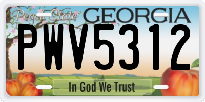 GA license plate PWV5312