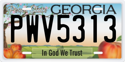 GA license plate PWV5313