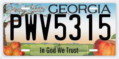 GA license plate PWV5315