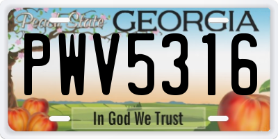 GA license plate PWV5316