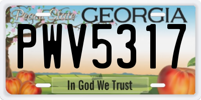 GA license plate PWV5317
