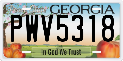GA license plate PWV5318