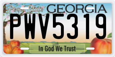 GA license plate PWV5319