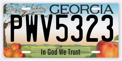 GA license plate PWV5323