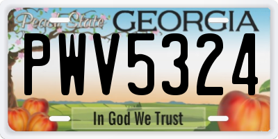 GA license plate PWV5324