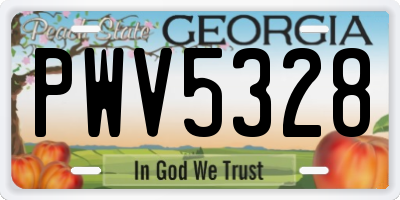 GA license plate PWV5328