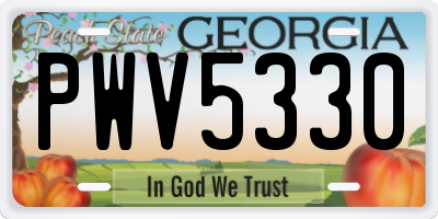 GA license plate PWV5330
