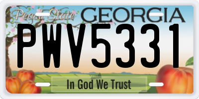 GA license plate PWV5331