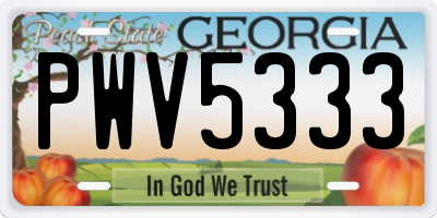 GA license plate PWV5333