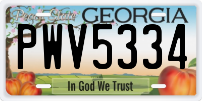 GA license plate PWV5334