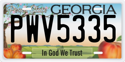 GA license plate PWV5335