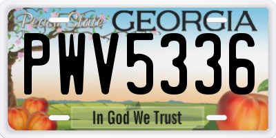 GA license plate PWV5336