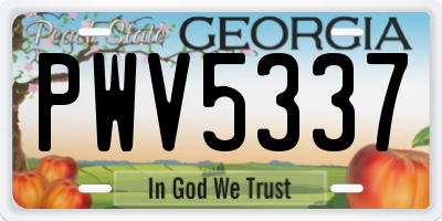 GA license plate PWV5337