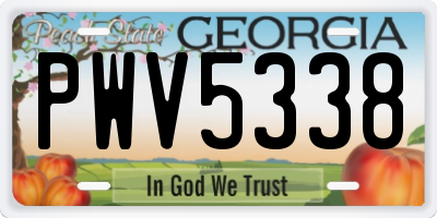GA license plate PWV5338