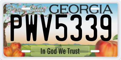 GA license plate PWV5339