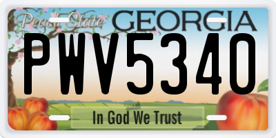 GA license plate PWV5340