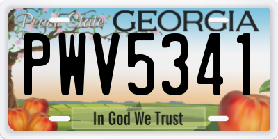 GA license plate PWV5341