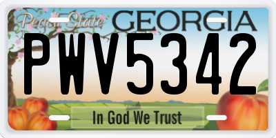 GA license plate PWV5342