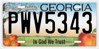 GA license plate PWV5343